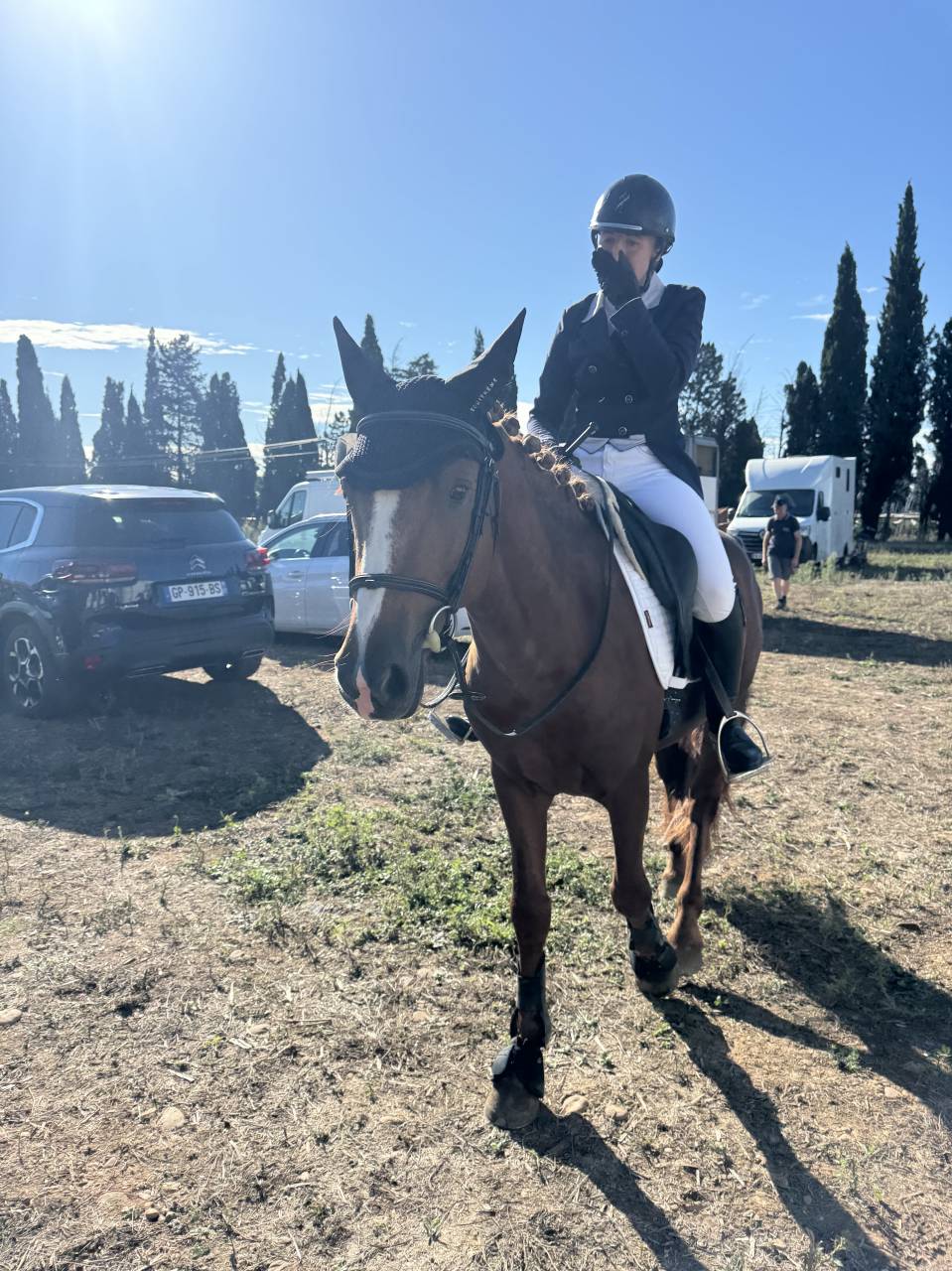 Mâle Connemara 4 ans 