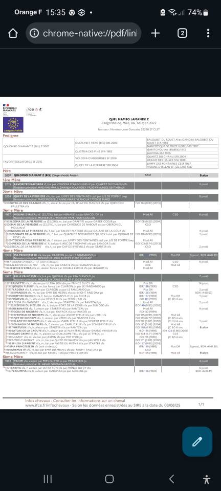 Quel Mambo Lamandé z 