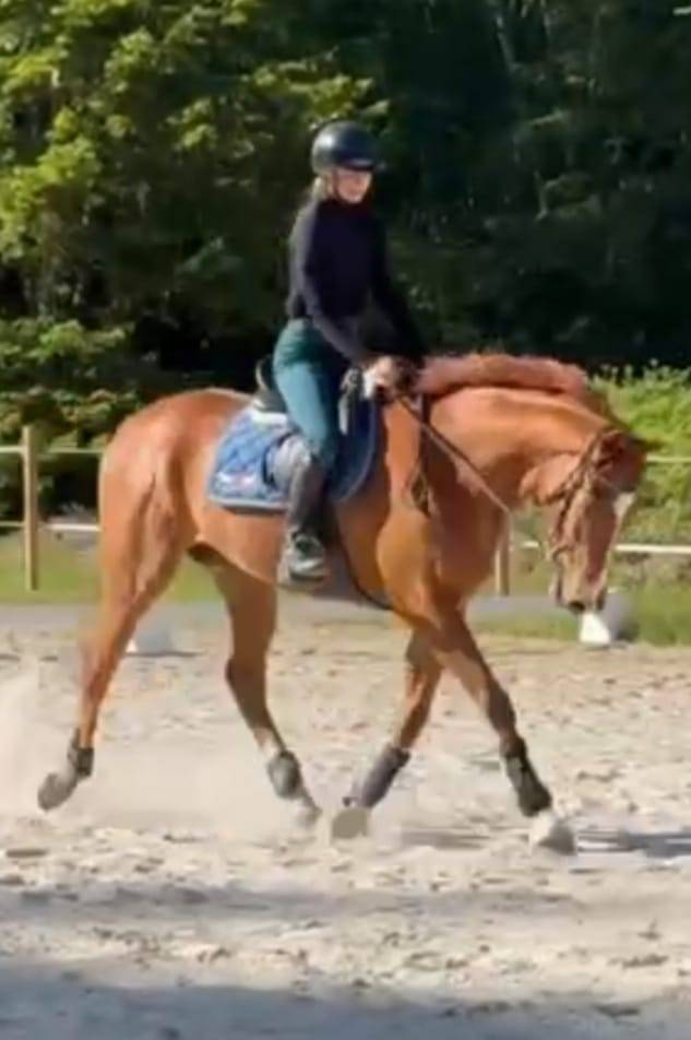 Demi pension Pur Sang 