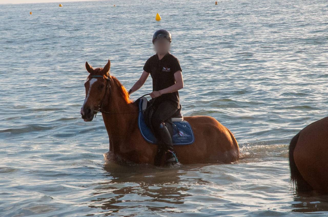 Demi pension Pur Sang 