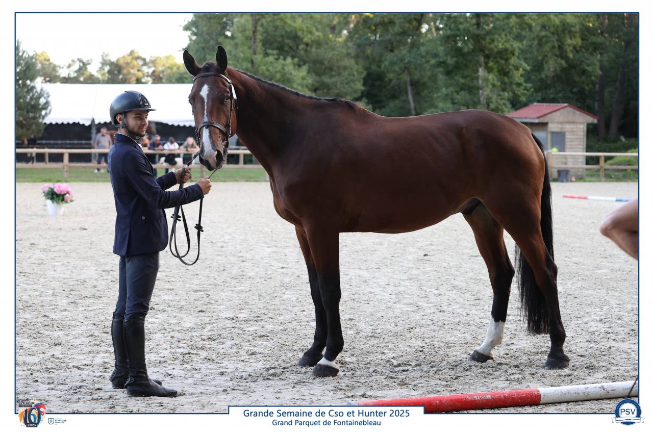 5ans Triple SF Fontainebleau 