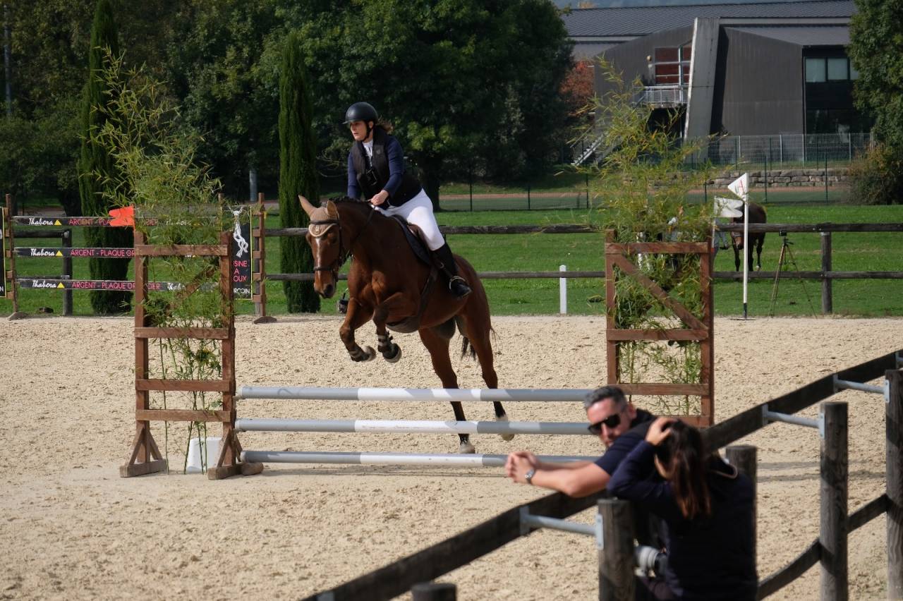 Demi-pension (38) - Cheval gentil et polyvalent