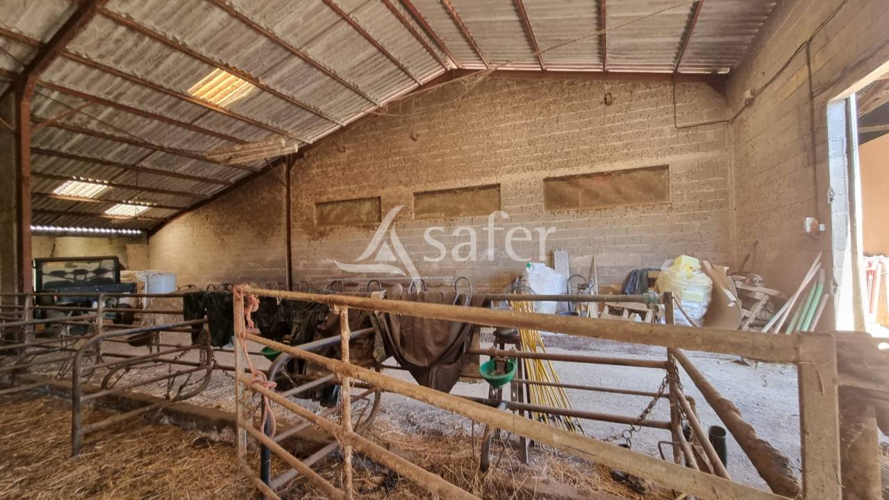 Proche Aignan - Propriété de 38 ha