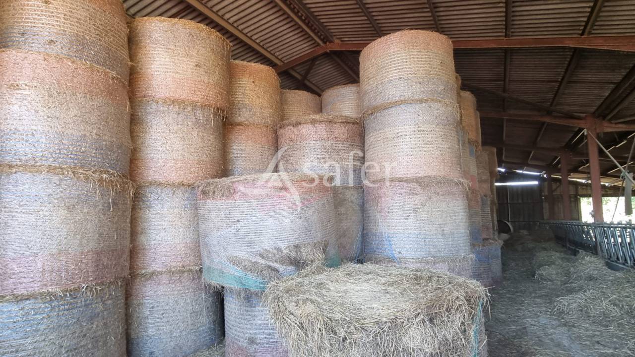 Proche Aignan - Propriété de 38 ha