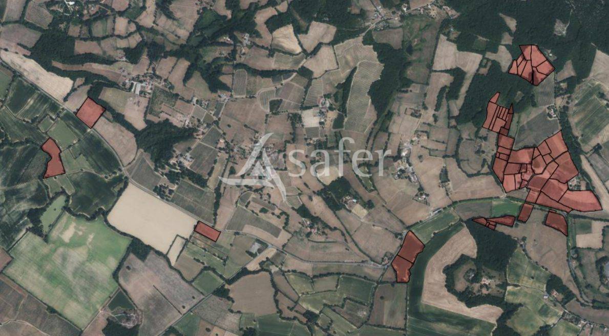 Proche Aignan - Propriété de 38 ha