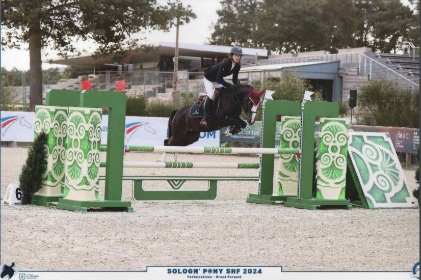 DEBOURAGE  TRAVAIL PONEYS CHEVAUX