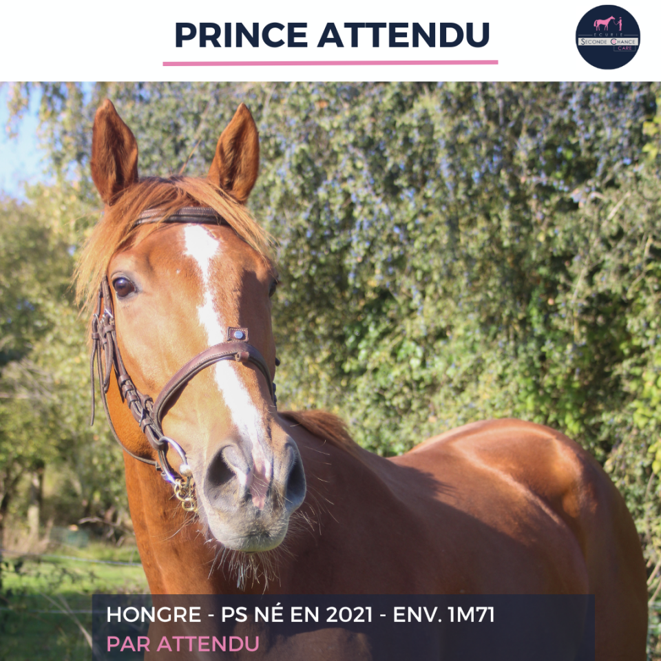 PRINCE ATTENDU - PS - 4 ANS