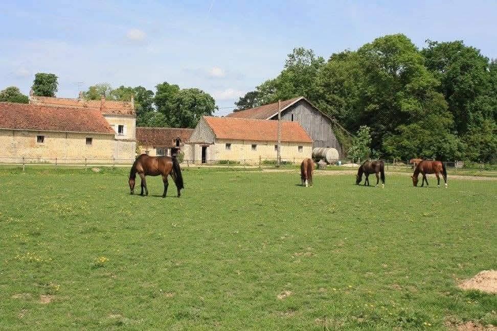 Apprentissage palefrenier-soigneur 