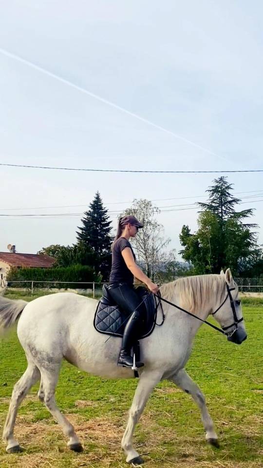 Demi pension cheval espagnol 