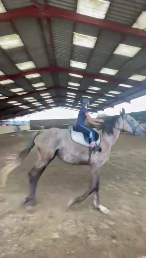 Recherche Demi Pension 68