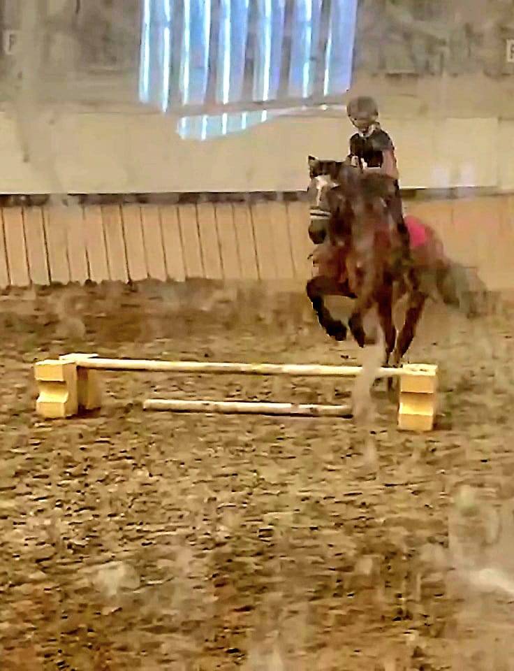 Recherche Demi Pension 68