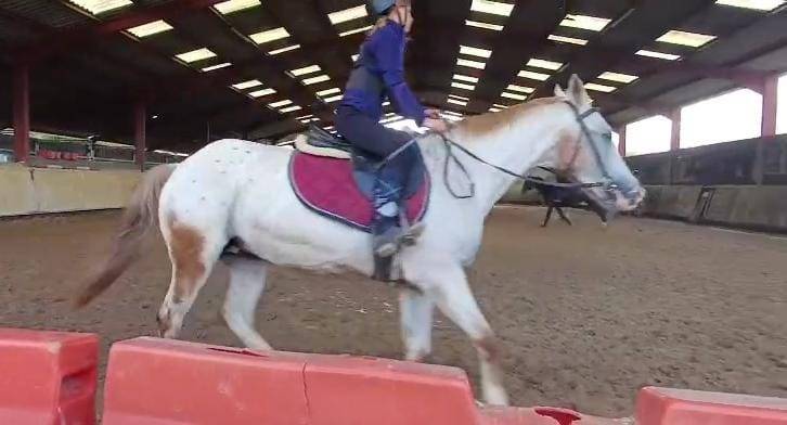 Recherche Demi Pension 68