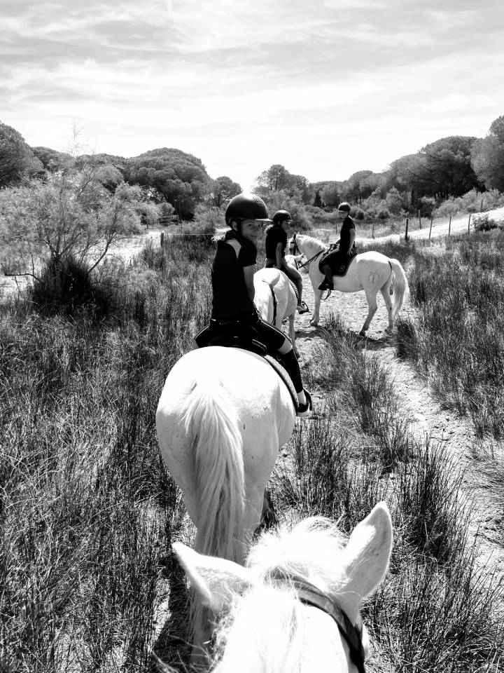 Recherche Demi Pension 68