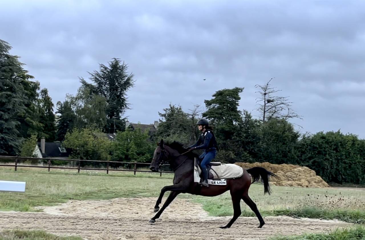 Cavalière soigneuse - entraînement 