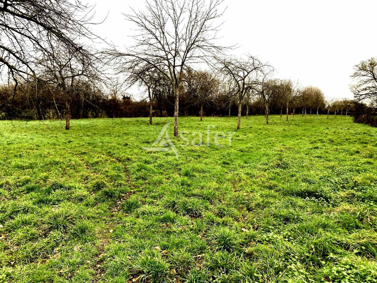 A vendre pour tout ou partie : Corps de Ferme 4 hectares Pays d'