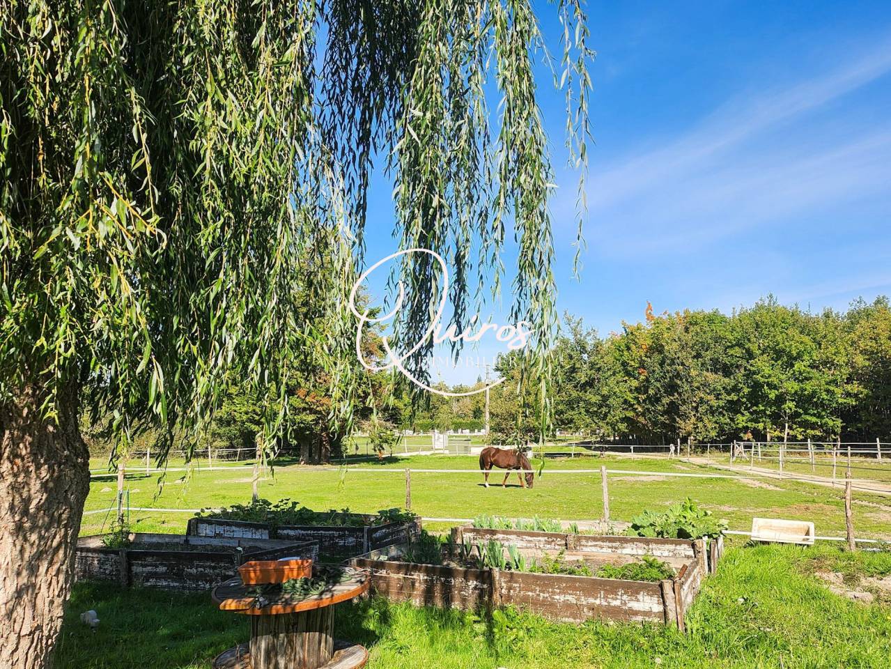 Domaine équestre complet  17 ha  Proche Lamotte-Beuvron