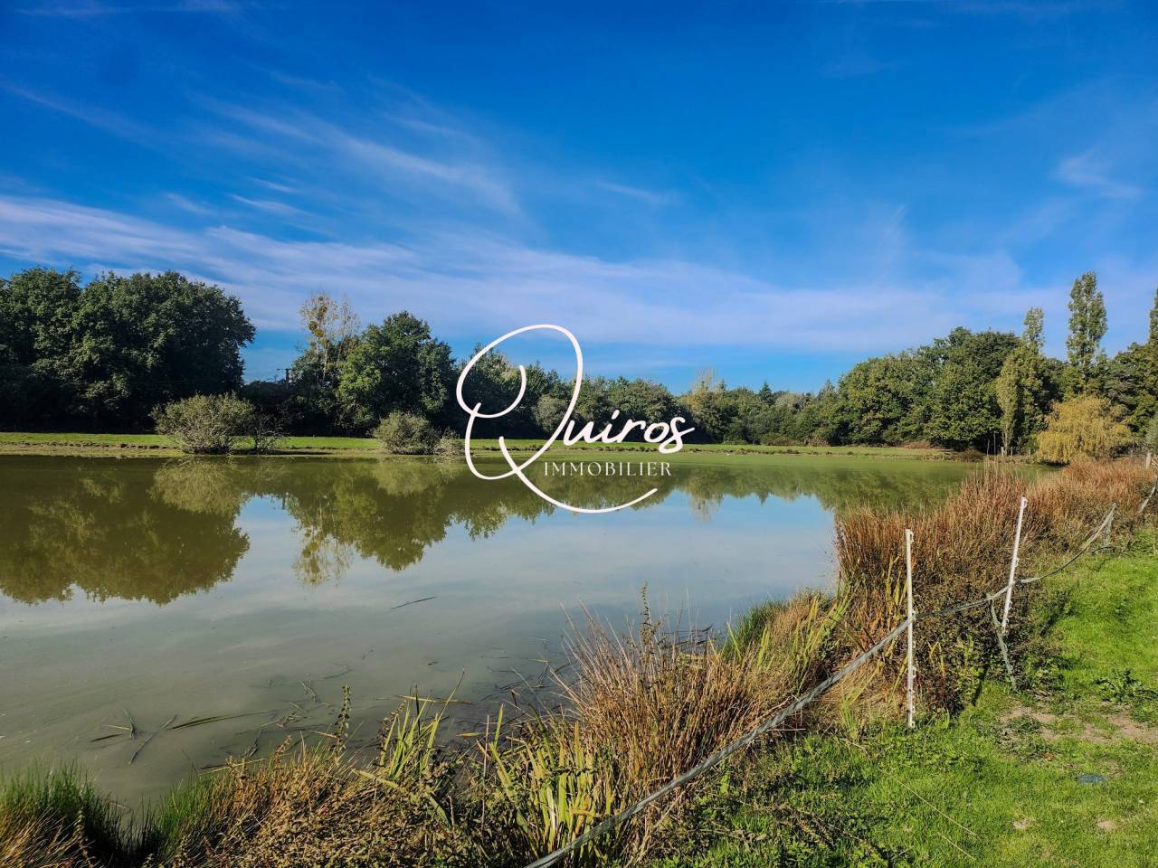 Domaine équestre complet  17 ha  Proche Lamotte-Beuvron