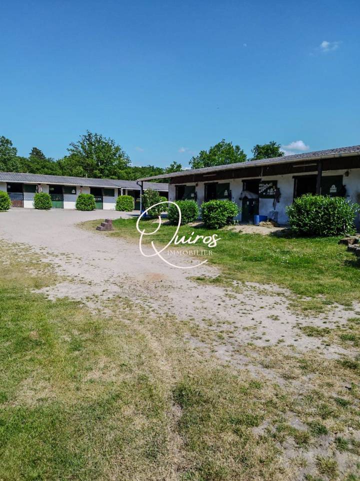 Domaine équestre complet  17 ha  Proche Lamotte-Beuvron
