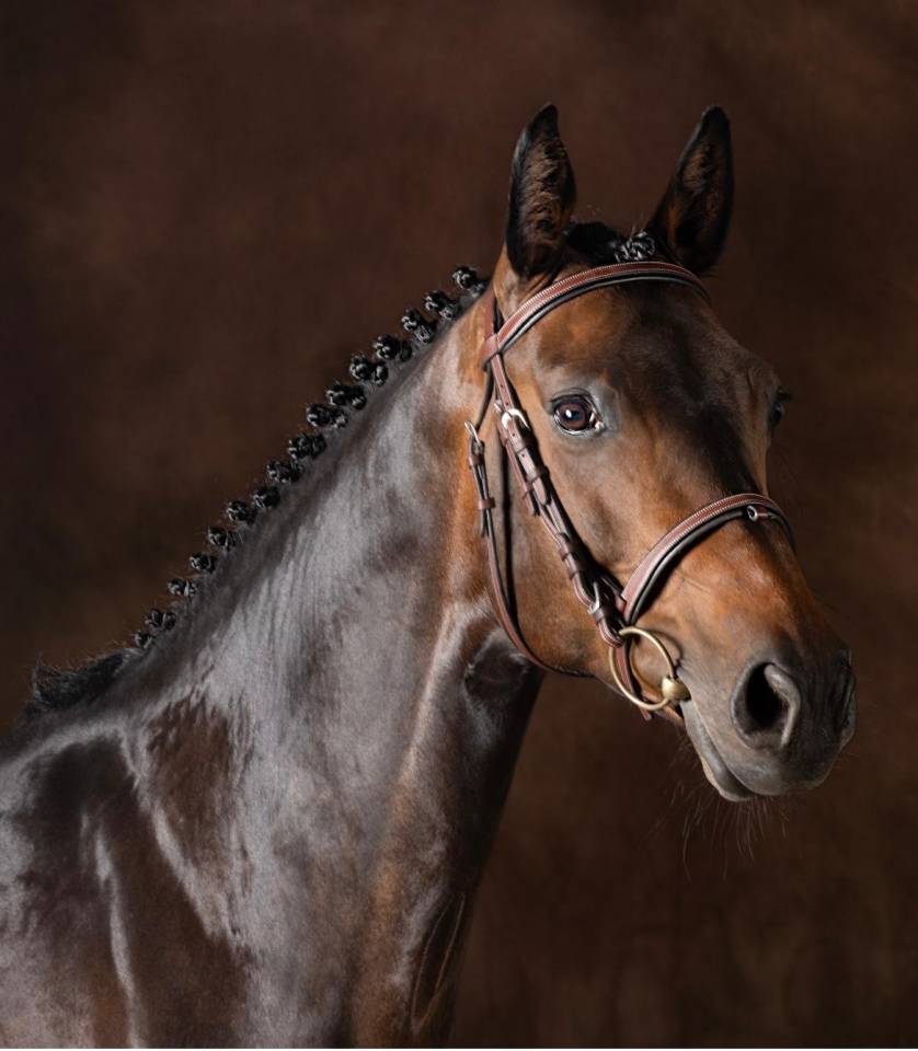 À vendre Chardonnay SK Z