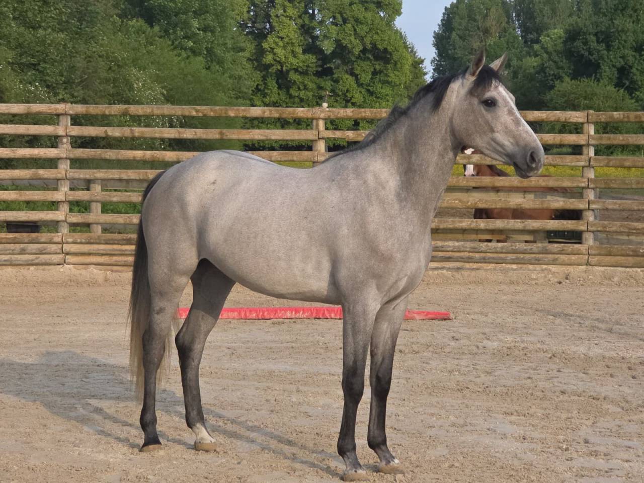 5ans par Untouchable 27 et m&egrave;re class&eacute; 1m45