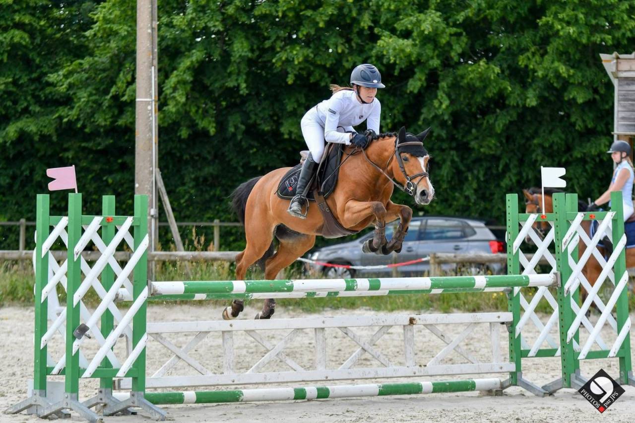 Poulinière PFS à confier