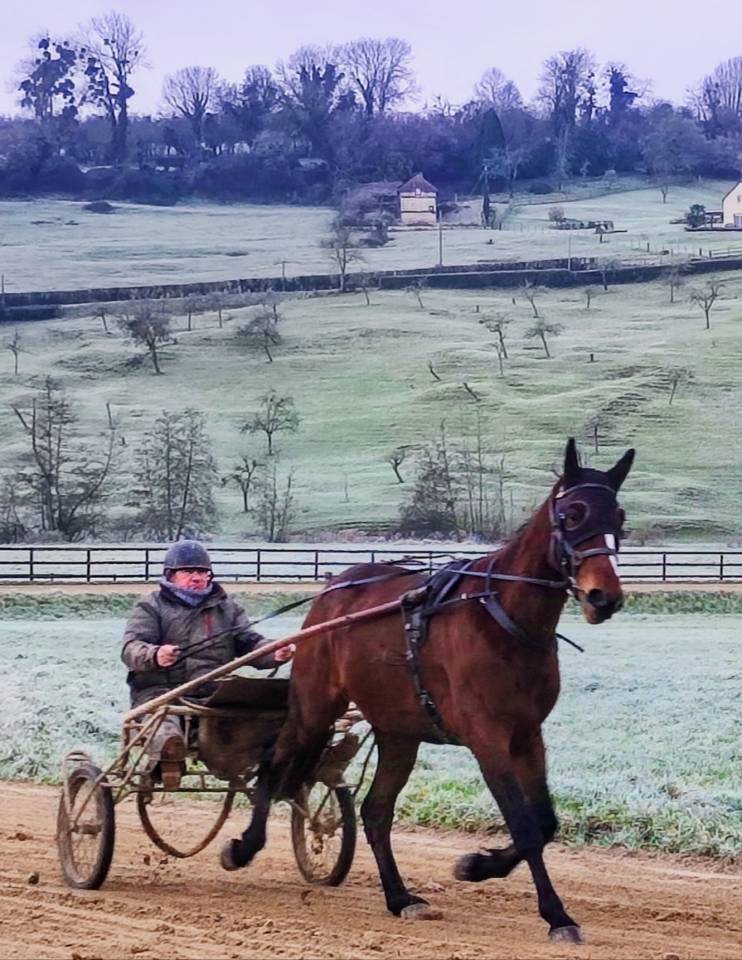 Trotteur 3 ans Reformé