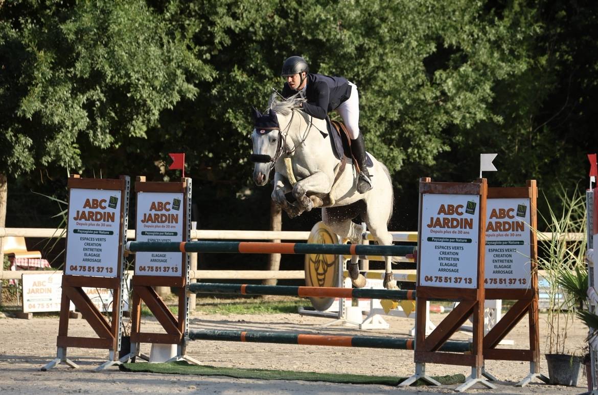 À vendre hongre de 8 ans 