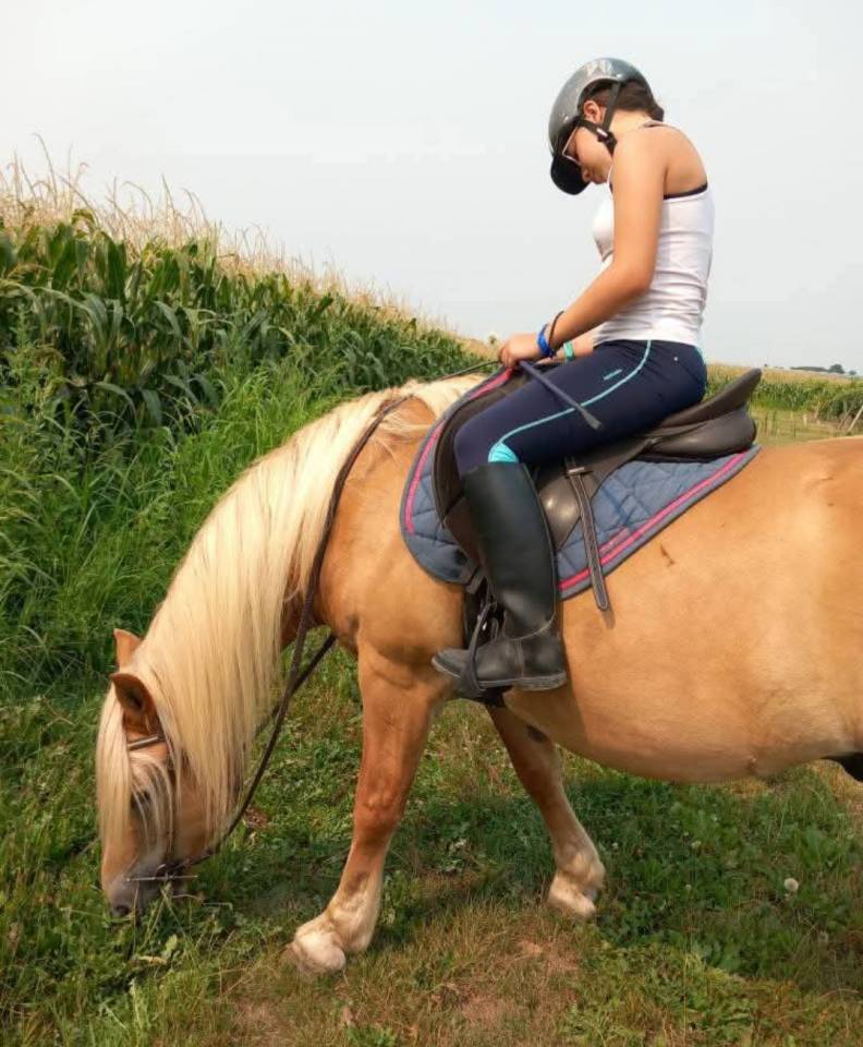 PROPOSE DP DANS LE 17