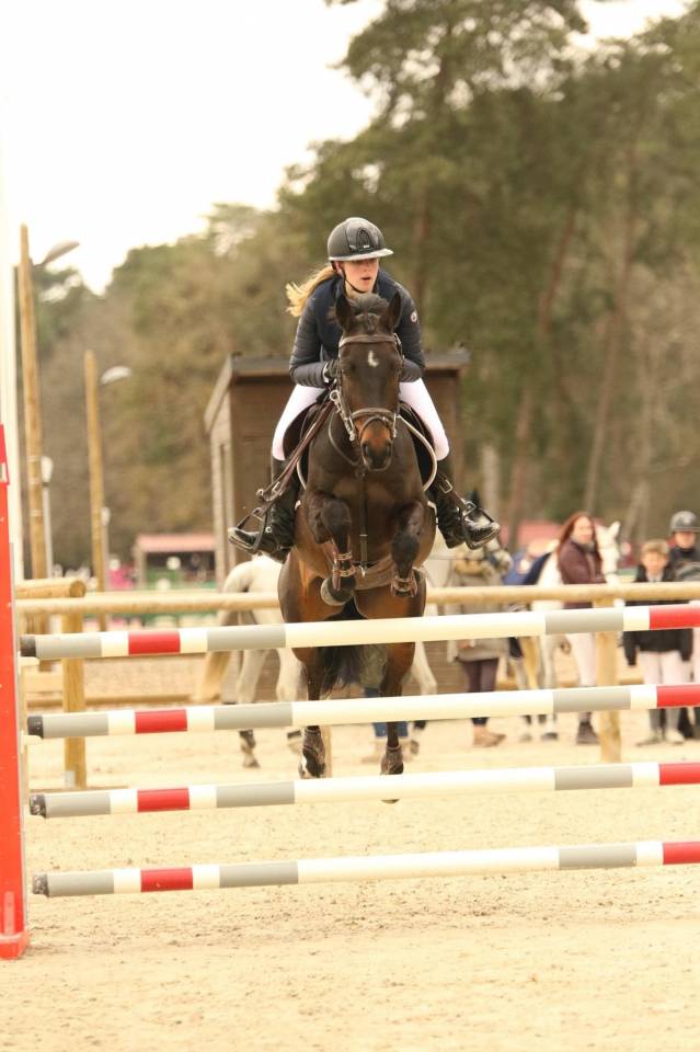 Poney de sport à louer 