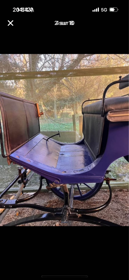 Calèche a vendre 