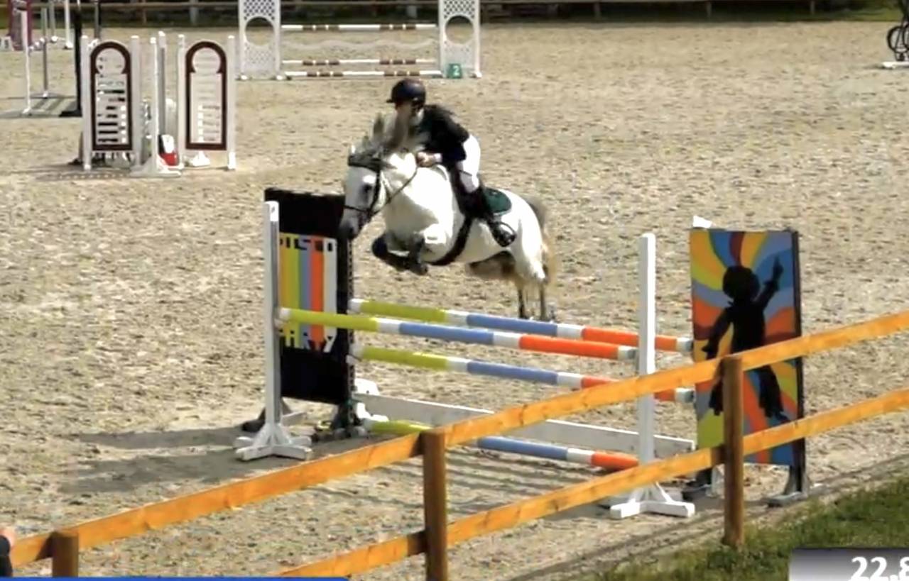 Poney de sport 