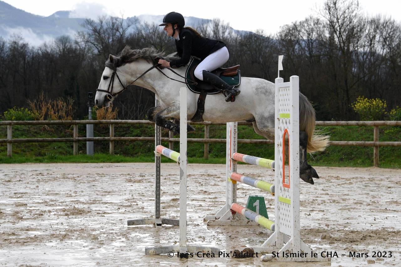 Poney de sport 