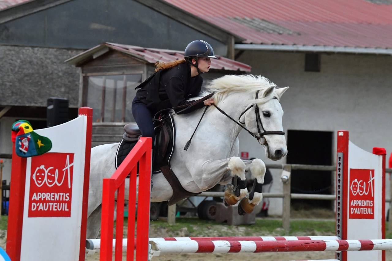 Recherche demi-pension pour poney de sport connemara