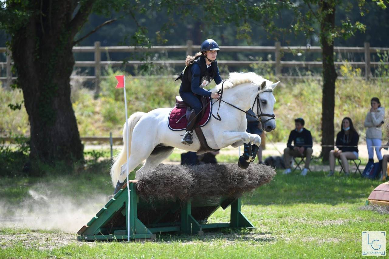 Recherche demi-pension pour poney de sport connemara
