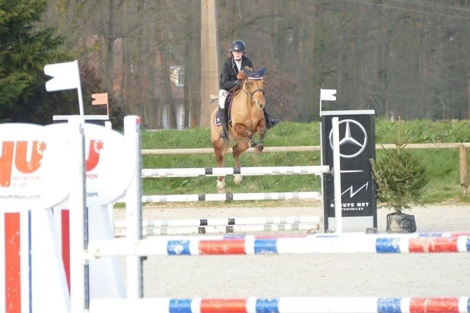 Très belle femelle PSF