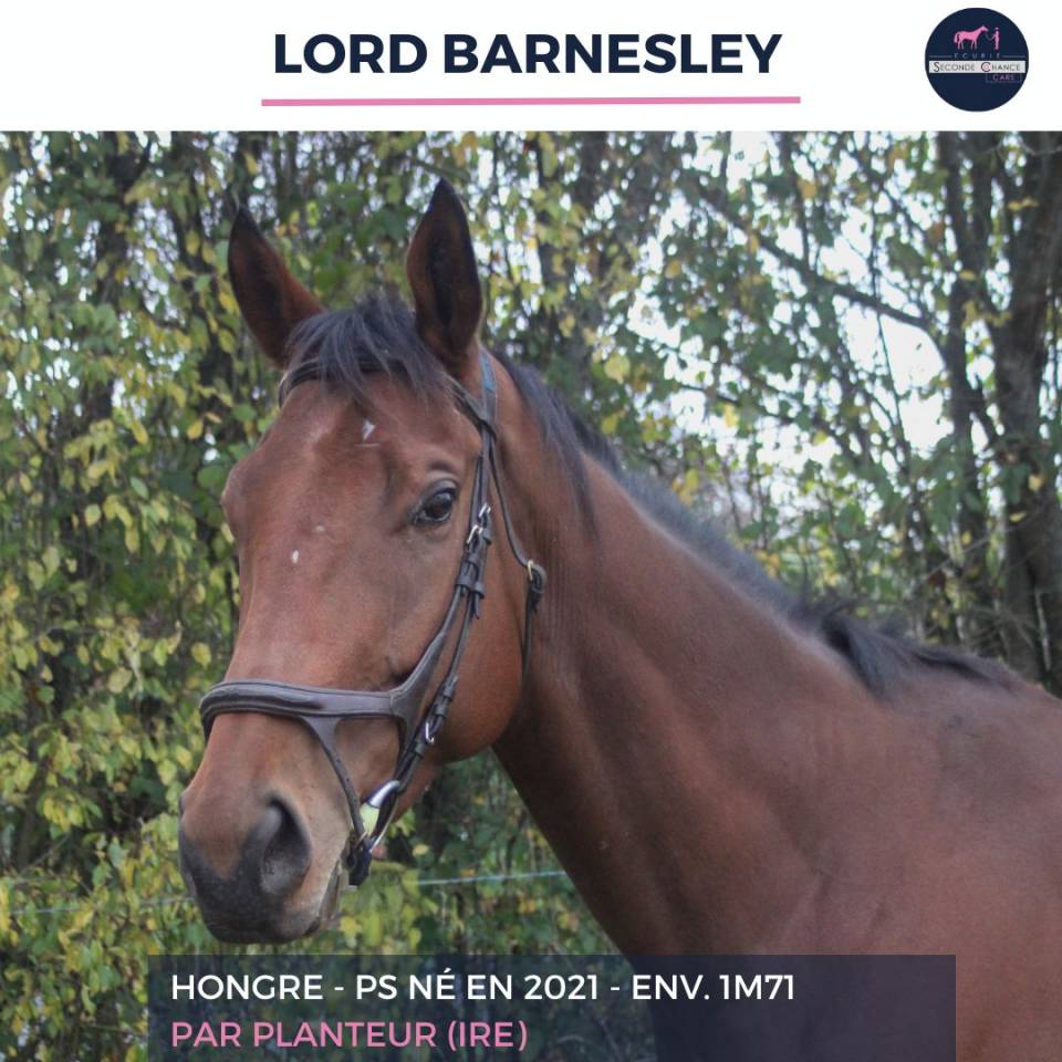 LORD BARNSLEY - PS - 4 ANS