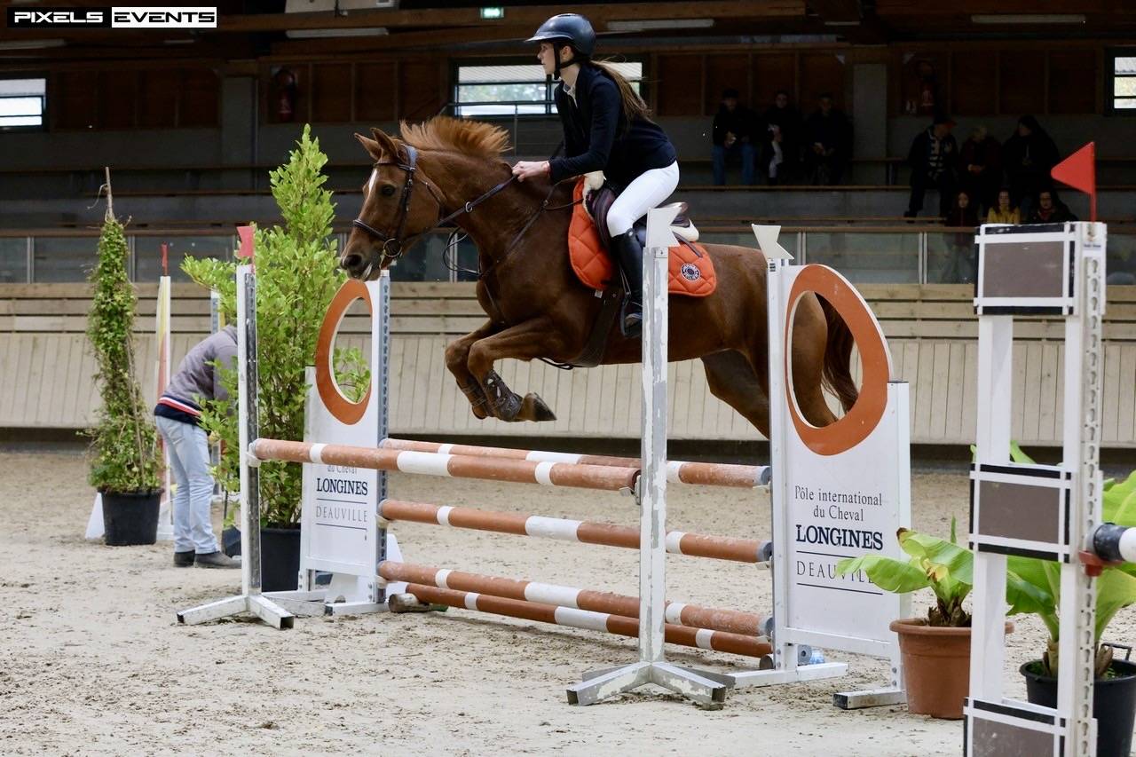 demi pension calvados 