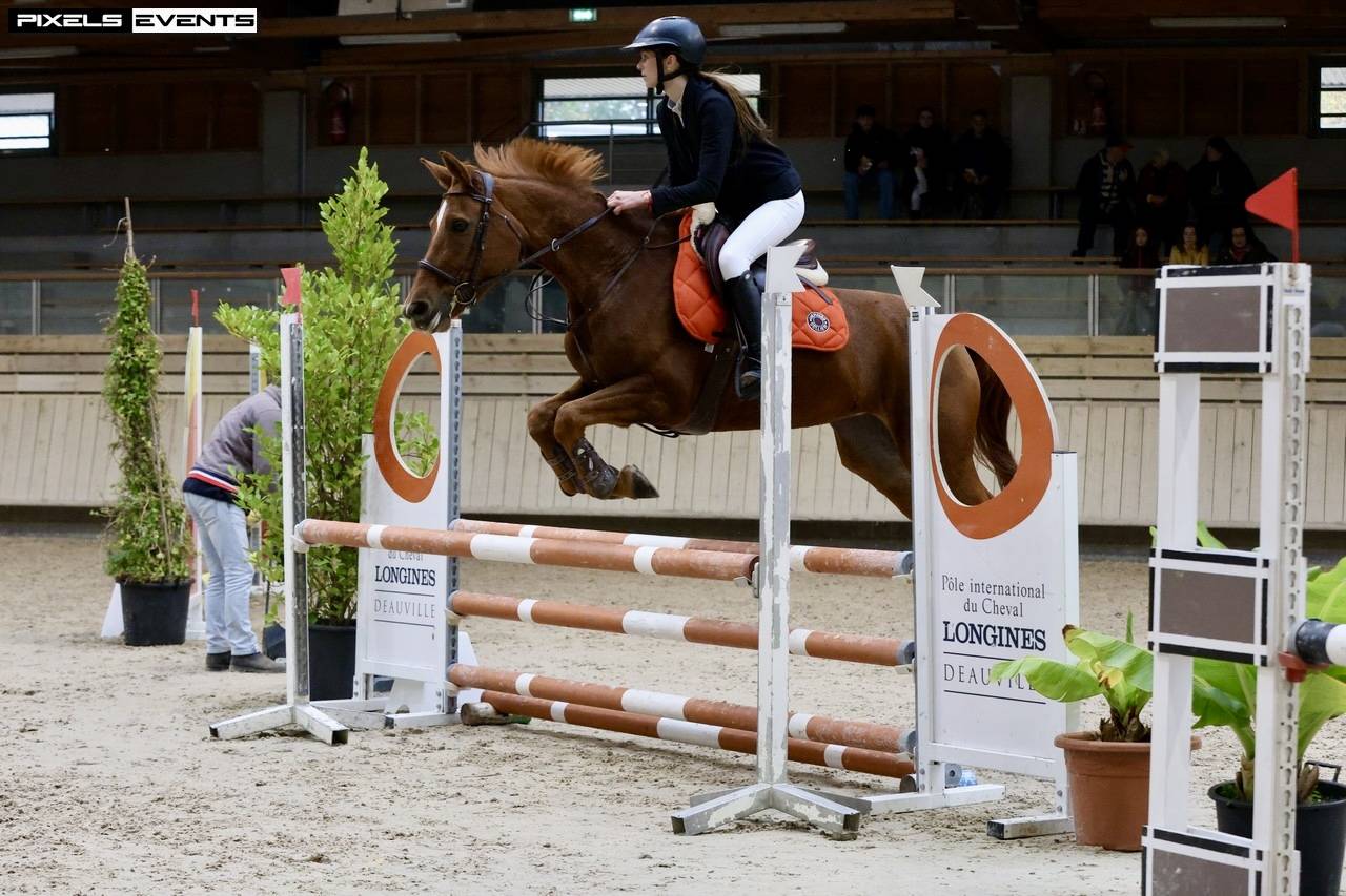 demi pension calvados 