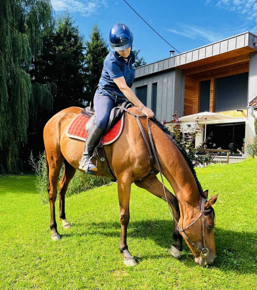 Très gentille jument PS 