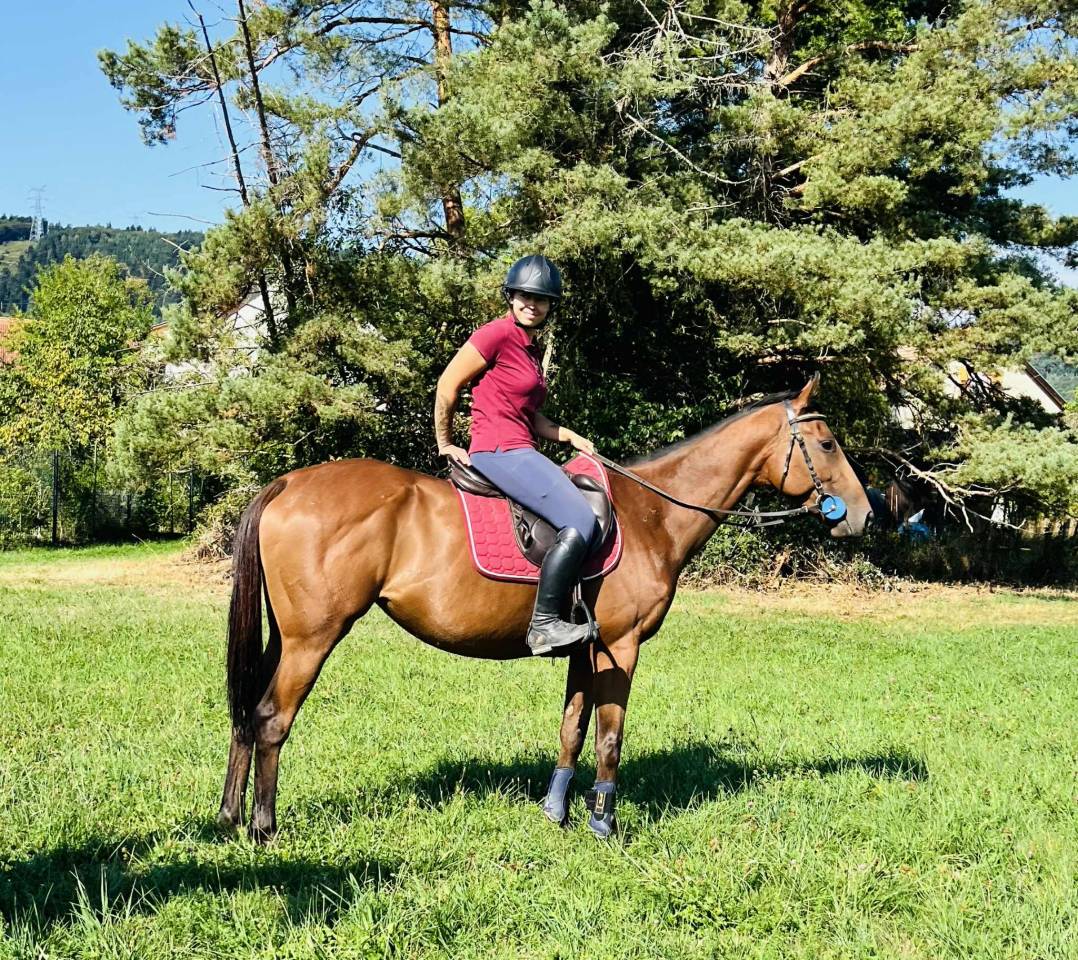 Très gentille jument PS 