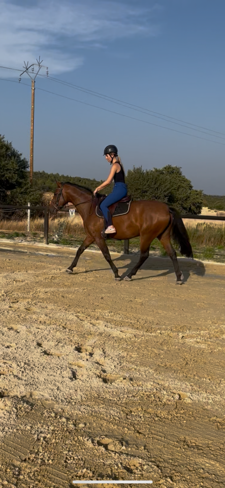 Jument de 4 ans pp oldenbourg d’1m60.