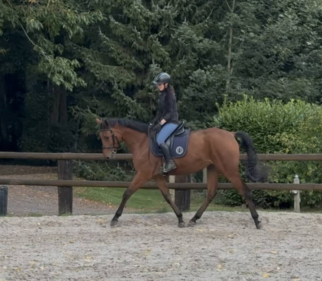 Jument polyvalente 2021 