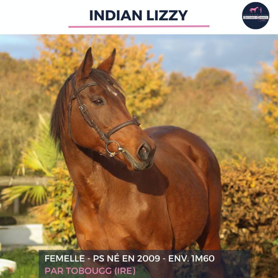 INDIAN LIZZY - PS - 16 ANS