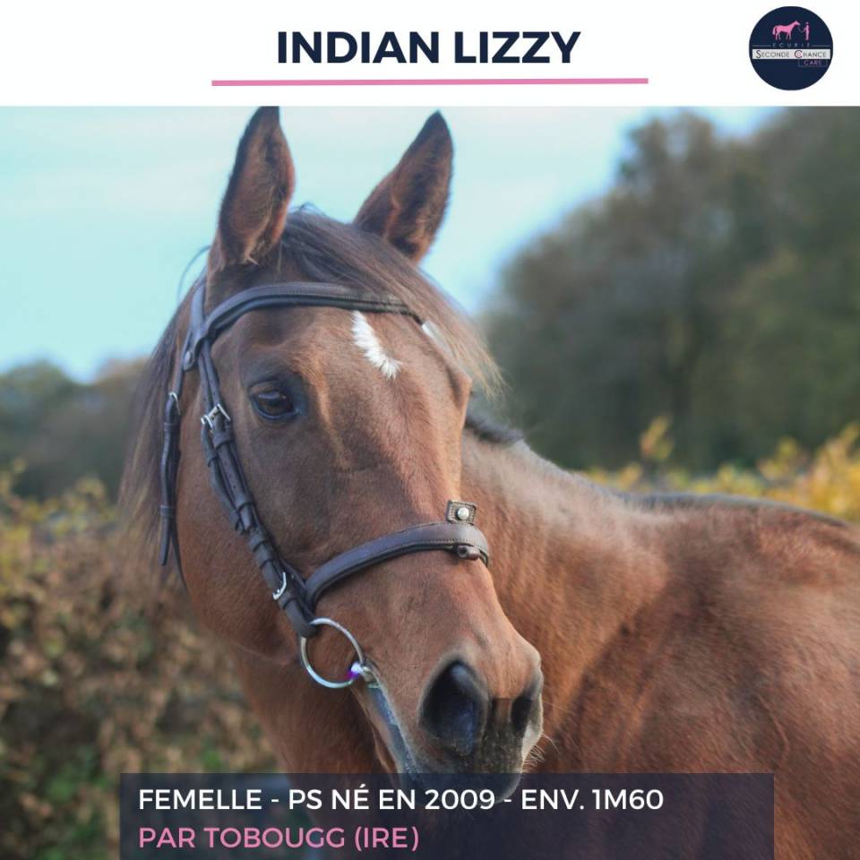 INDIAN LIZZY - PS - 16 ANS