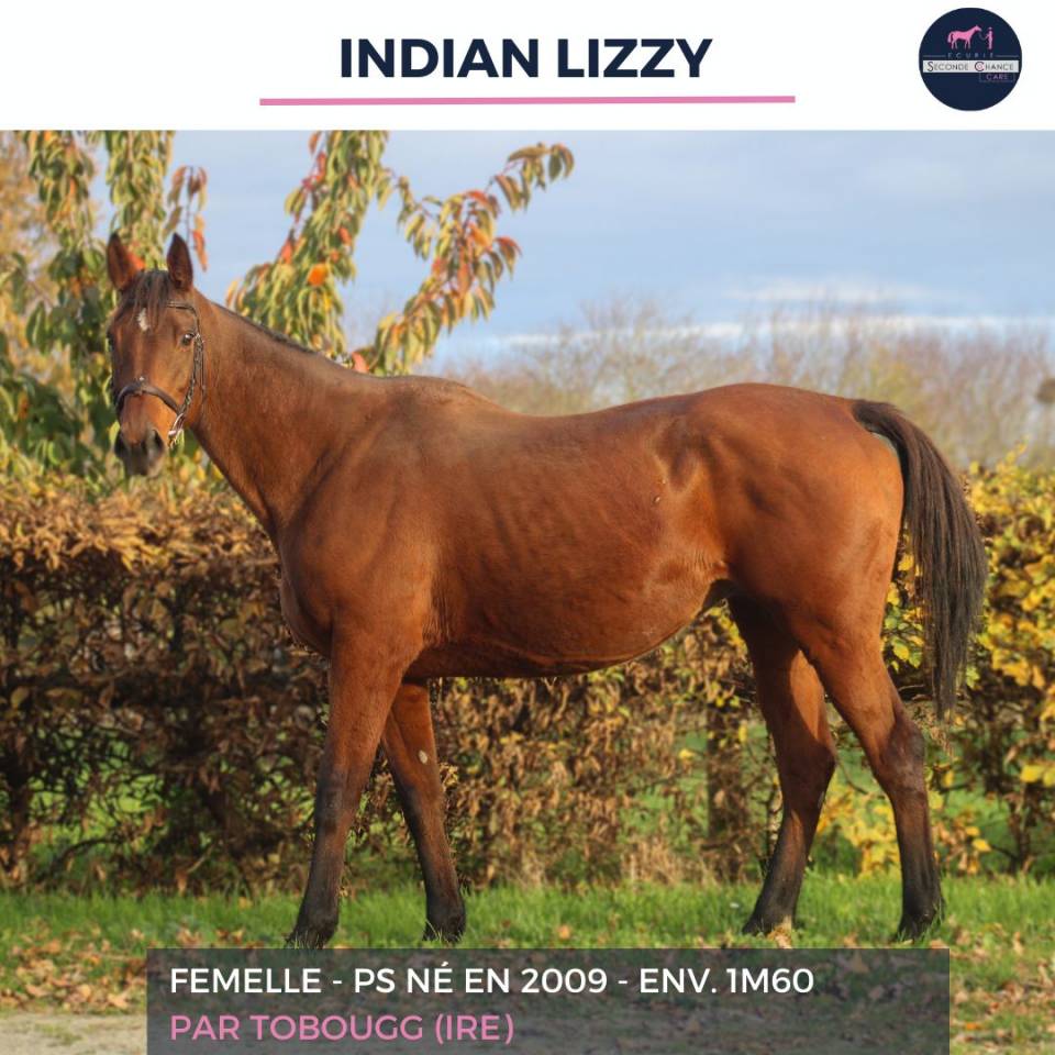 INDIAN LIZZY - PS - 16 ANS