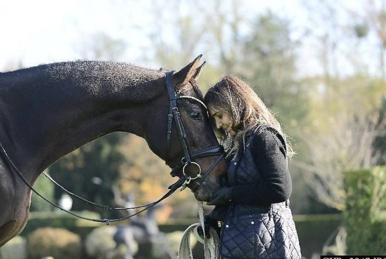 Recherche demie pensionnaire dressage 