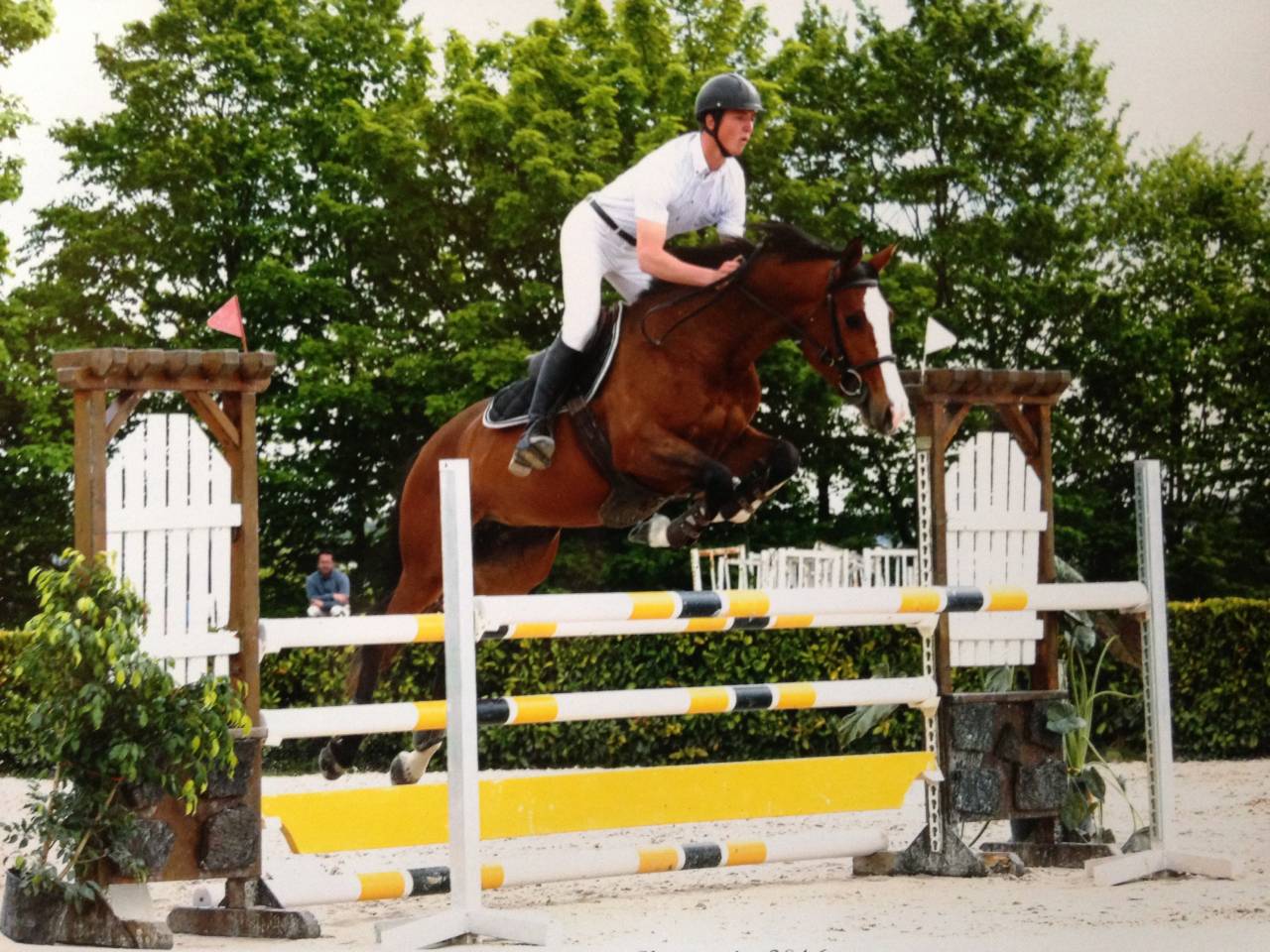 Jument par Kalaska de semilly