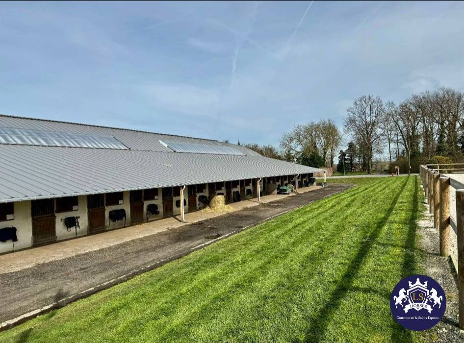 Pension chevaux 