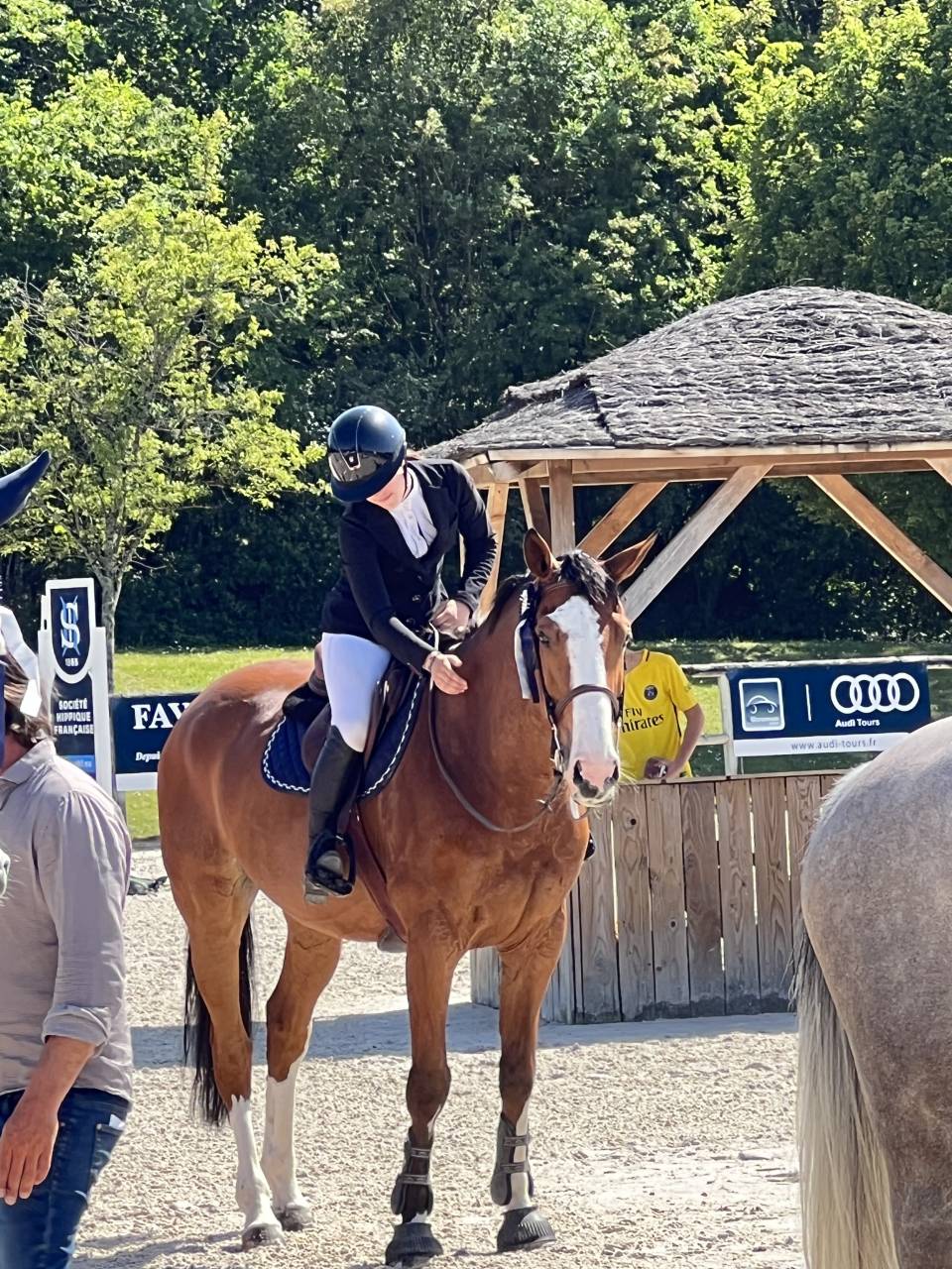 Cheval Hongre Cso amateur 