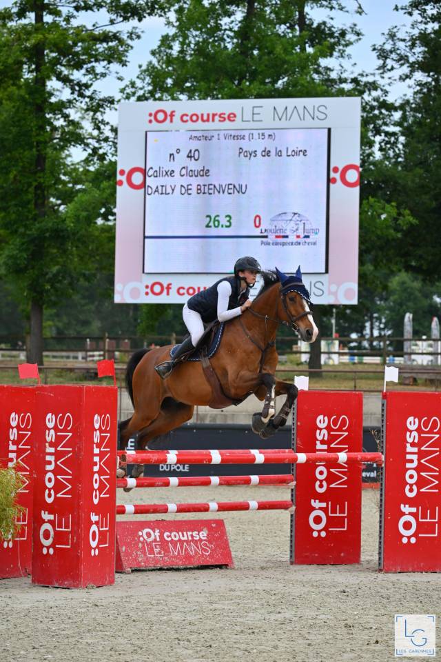 SF par Chef rouge X Negus de Talma